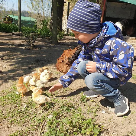 Séjour à la campagne Lana Salta Alpakas - Gemuetliche Gaestezimmer Auf Dem Bauernhof