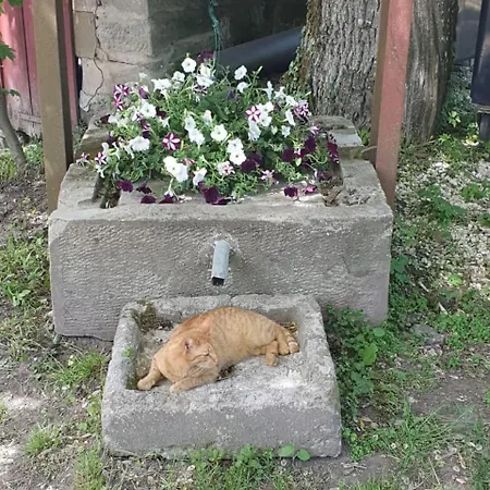 Lana Salta Alpakas - Gemuetliche Gaestezimmer Auf Dem Bauernhof Séjour à la campagne