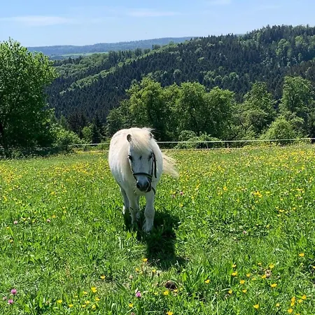 Lana Salta Alpakas - Gemuetliche Gaestezimmer Auf Dem Bauernhof Country house Murrhardt