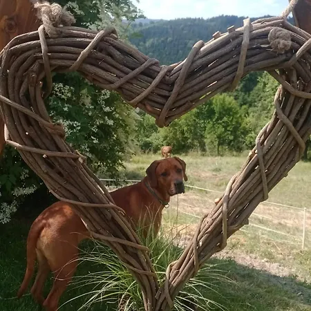 Lana Salta Alpakas - Gemuetliche Gaestezimmer Auf Dem Bauernhof Séjour à la campagne *