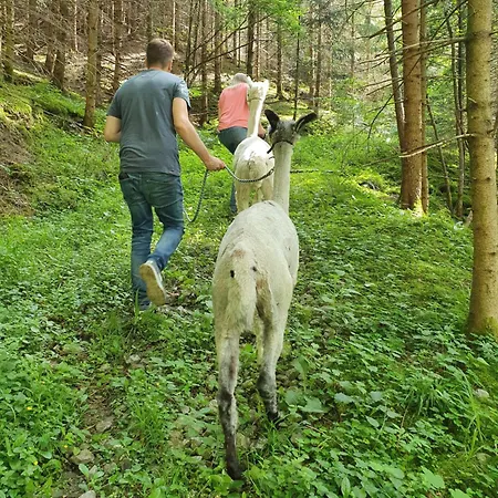 Lana Salta Alpakas - Gemuetliche Gaestezimmer Auf Dem Bauernhof Séjour à la campagne *