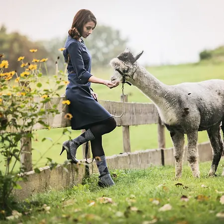 Lana Salta Alpakas - Gemuetliche Gaestezimmer Auf Dem Bauernhof *